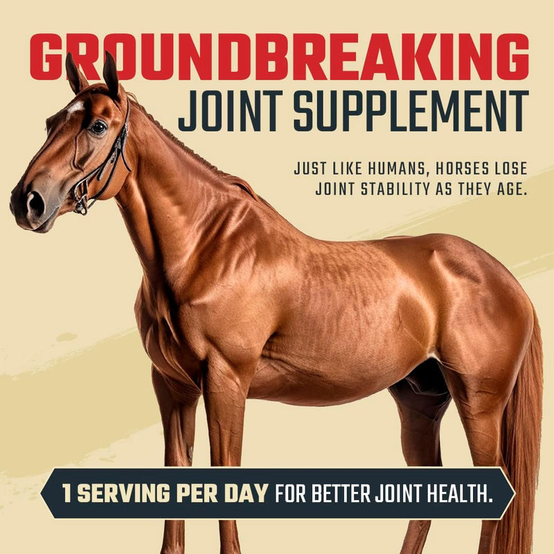 8 in 1 Maximum Joint Supplement - for Horses