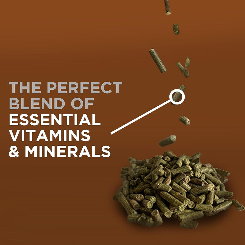 Complete Vitamins and Minerals for Horses