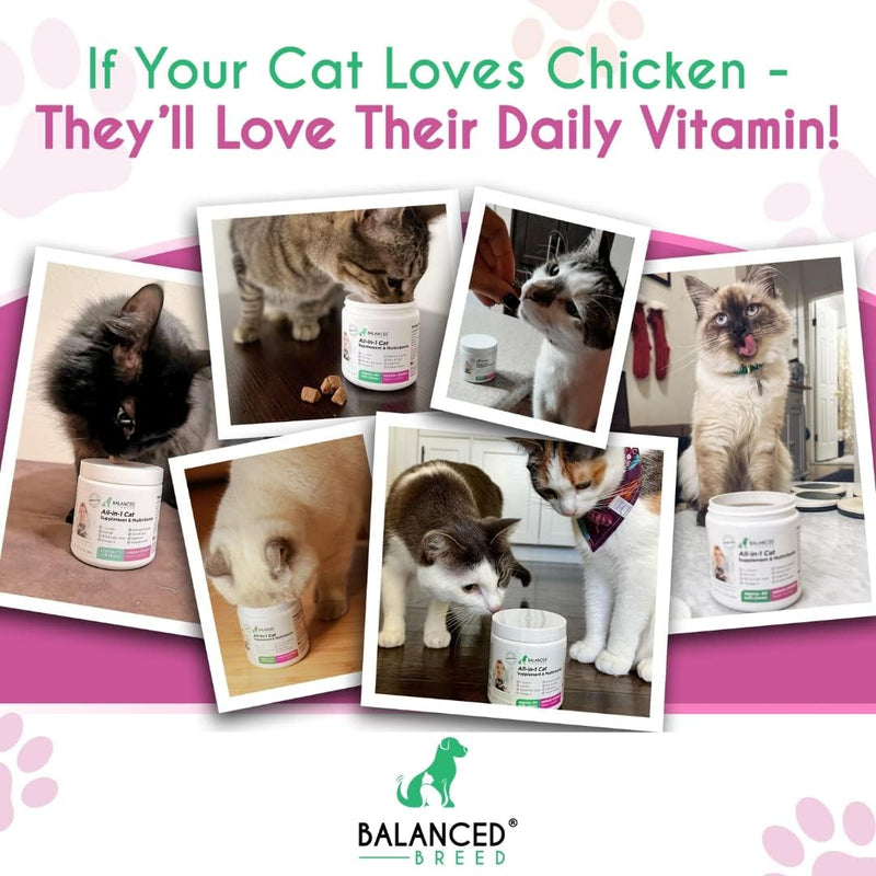 Balanced Breed L Lysine Cats Immune System Cat Vitamins