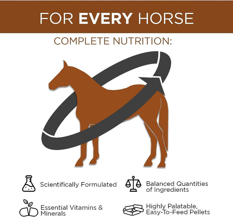 Complete Vitamins and Minerals for Horses