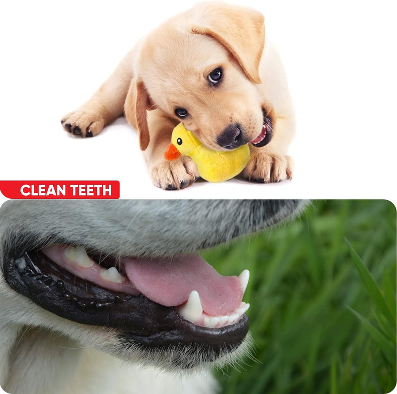 Dog Teething Toys for Puppies