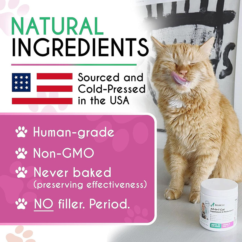 Balanced Breed L Lysine Cats Immune System Cat Vitamins