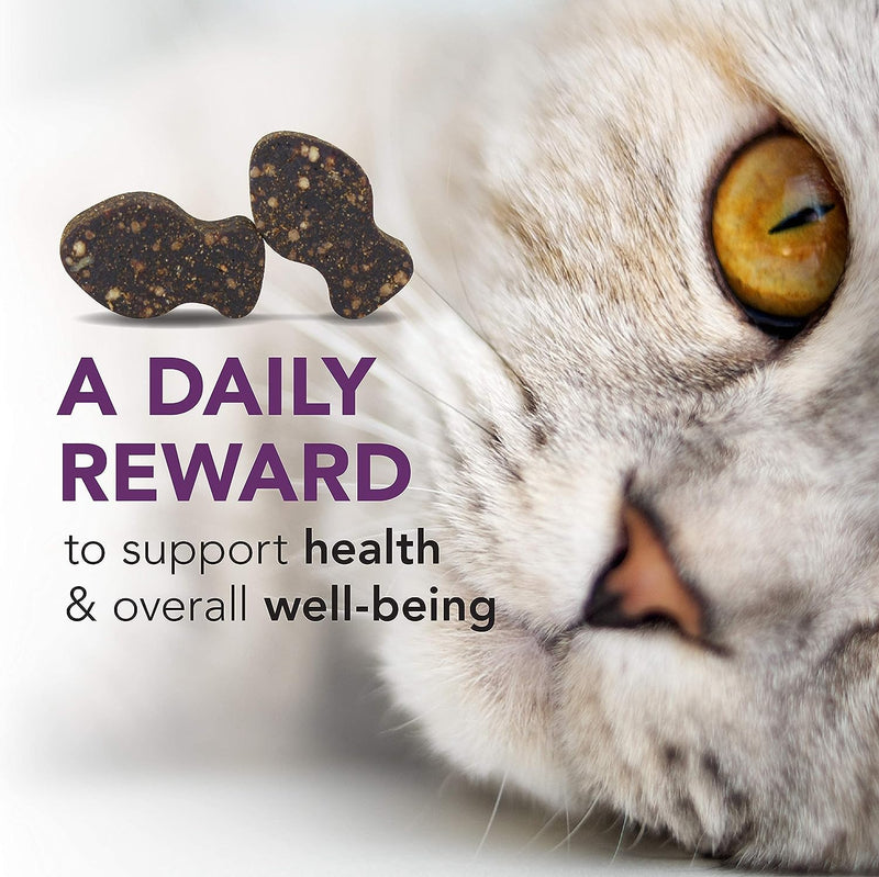 Immune and Respiratory Support Vitamins for Cats