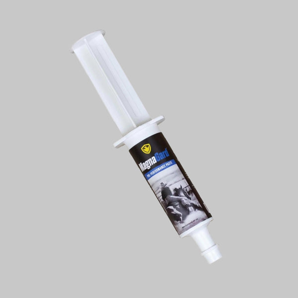 Performance Paste for Horses