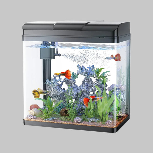 Fish Tank, 3 Gallon Glass Aquarium with Air Pump